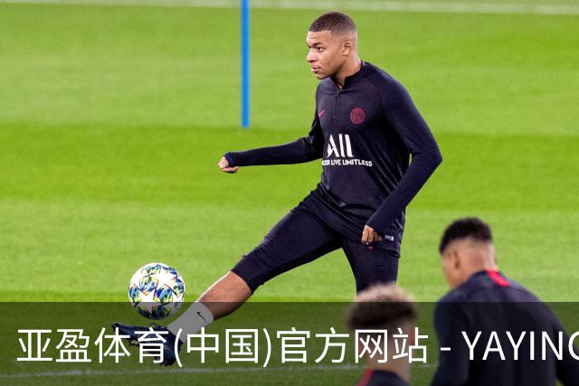 亚盈体育(中国)官方网站 - YAYING SPORTS公司简介